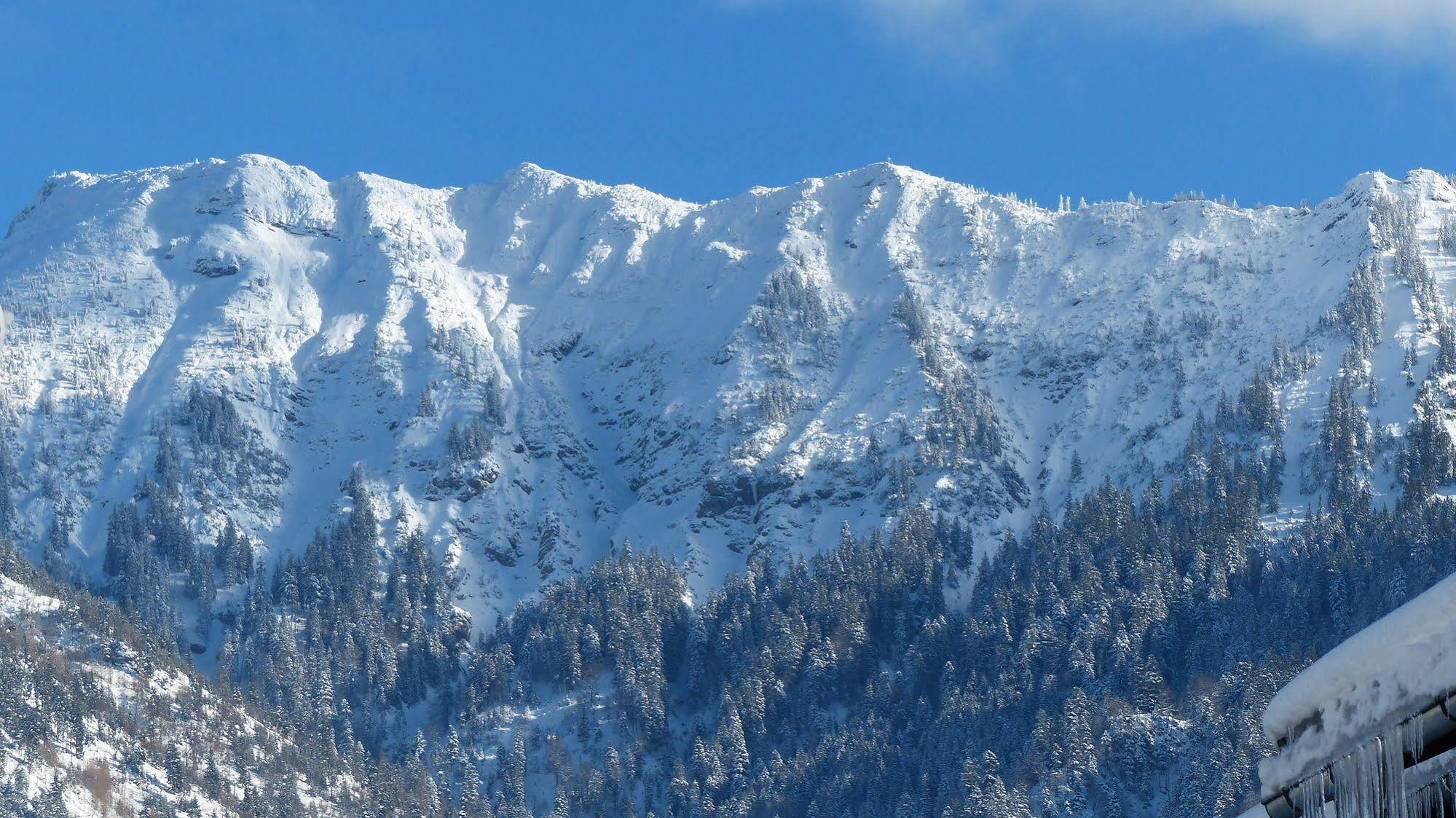 Hotel Restaurant Amadeus - Inclusive Skipass Und Vieles Mehr Bad Hindelang Dış mekan fotoğraf